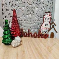 455599524sst1613491885